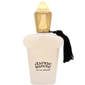 عطر جیبی زنانه برندینی مدل Danne blanche ظرفیت 33 میلی لیتر