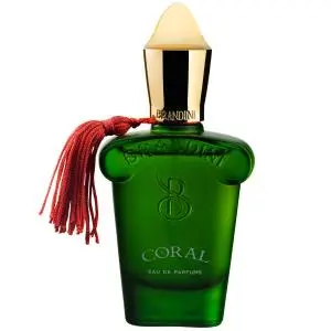 عطر جیبی مردانه برندینی مدل Coral ظرفیت 33 میلی لیتر