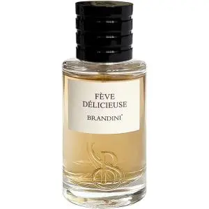 عطر جیبی زنانه و مردانه برندینی مدل Feve Delicieuse ظرفیت 33 میلی لیتر