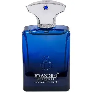 عطر جیبی مردانه برندینی مدل Interlude Iris ظرفیت 33 میلی لیتر